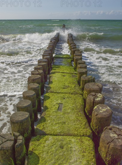 Groves, coastal protection structure, beach, Ahrenshoop, Baltic Sea, Vorpommern-Rügen district in