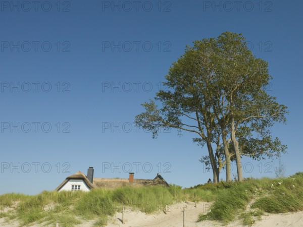 Coastal scene, with a thatched building, Ahrenshoop, Baltic Sea, Vorpommern-Rügen district in
