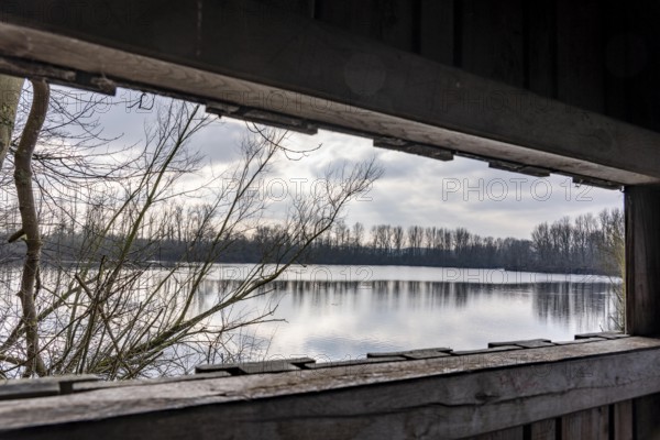 The Bislicher Insel, nature reserve on the Rhine, Altrheinarm, near Xanten, Lower Rhine, Wesel