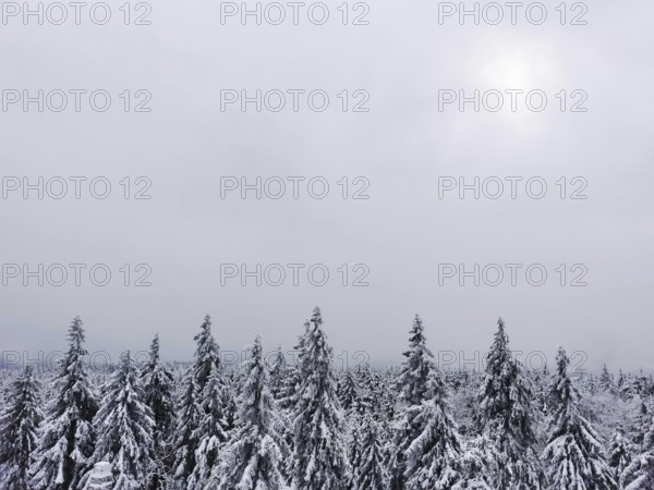 The snow covers treetops while weak light breaks through a wintry sky, hiking on Ochsenkopf in the
