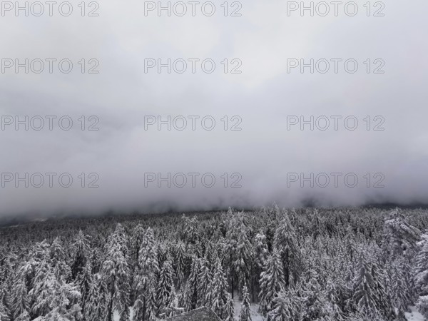 Thick fog surrounds a snow-covered forest landscape, hiking on Ochsenkopf in the Fichtelgebirge
