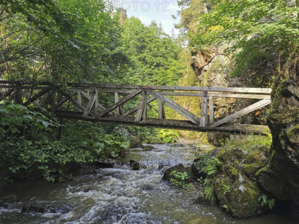 A wooden bridge stretches across a wild river, surrounded by rocks and dense forest at the