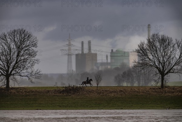 Riders on the banks of the Rhine opposite Krefeld-Uerdingen, in winter, the Krupp-Mannesmann