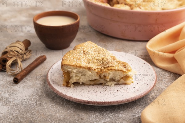 Apple Charlotte cake on brown concrete background and orange linen textile, cup of milk, side view,