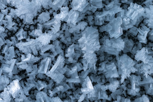 Ice crystals on glacier wall, glacier cave, ice cave, Morteratsch glacier, Engadin, Graubünden,