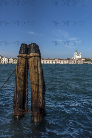 View of Santa Maria della Salute and the Campanile in Venice from Giudecca Island, Venice, Veneto,