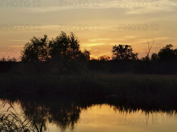 The quiet Spree at sunset with reflections of vegetation and shimmering colors in the sky,
