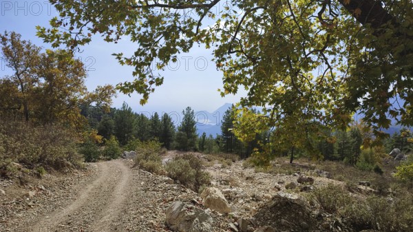 Rocky trail through a wooded landscape with views of mountains and the Tahtali, hiking on the