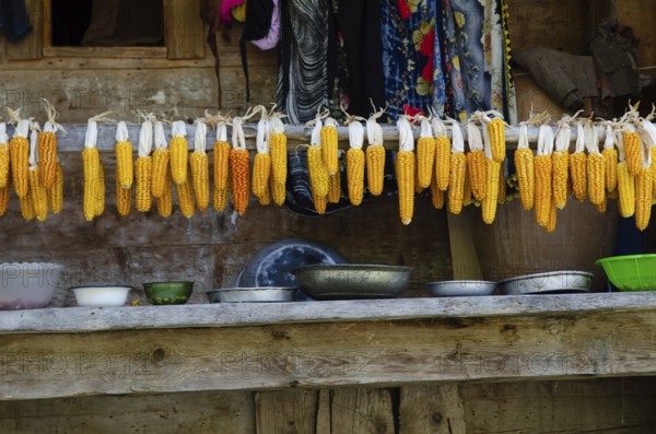 Trabzon, Turkey. 6th September 2014 Sweet corn hanging on the balcony of a traditional Black Sea