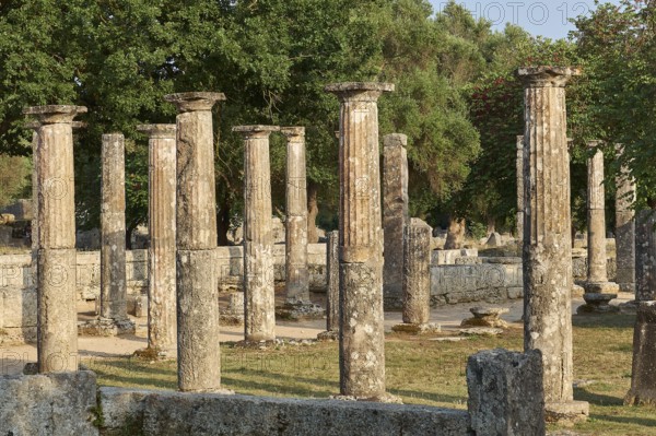 Palestra, collection of ancient columns surrounded by trees, archaeological site, Ancient Olympia,