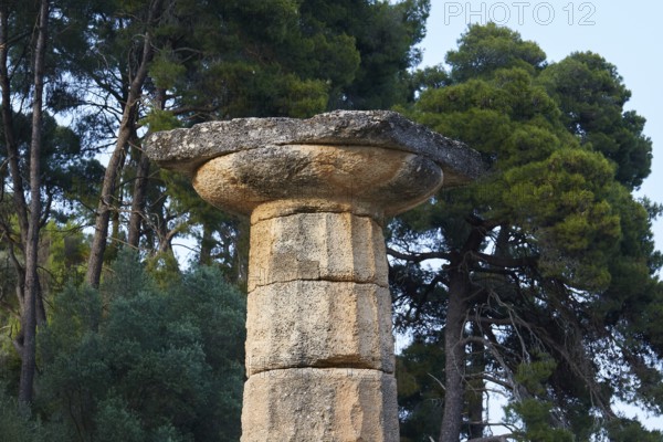 Temple of Hera, Temple of Hera, Heraion, close-up of an ancient capital with green background and