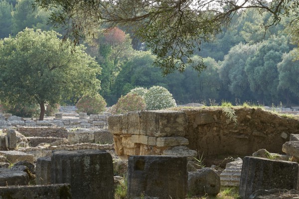 Buleuterion, Ancient stone ruins in a green, wooded area, Archaeological Site, Ancient Olympia,