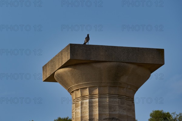 Temple of Zeus, A single column with a bird under a blue sky, Archaeological Site, Ancient Olympia,