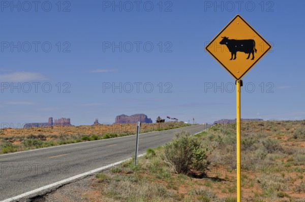 Cow warning sign next to a winding road through the desert near Monument Valley, Navajo Tribal