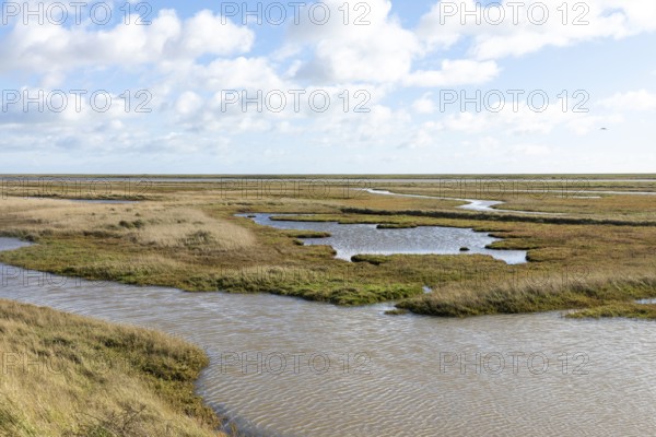 Wetland habitat of Boyton and Hollesley Marshes Nature Reserve, River Ore and Orford Ness shingle