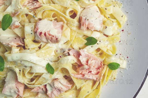 Tagliatelle pasta, in cream sauce with salmon, homemade, no people