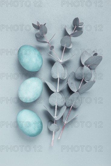 Composition of eucalyptus leaves and turquoise colored eggs, on a gray background, Easter card, top