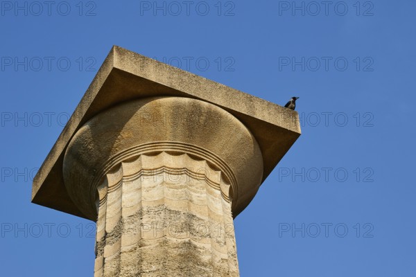 Temple of Zeus, ancient column with a bird on top under clear blue sky, archaeological site,