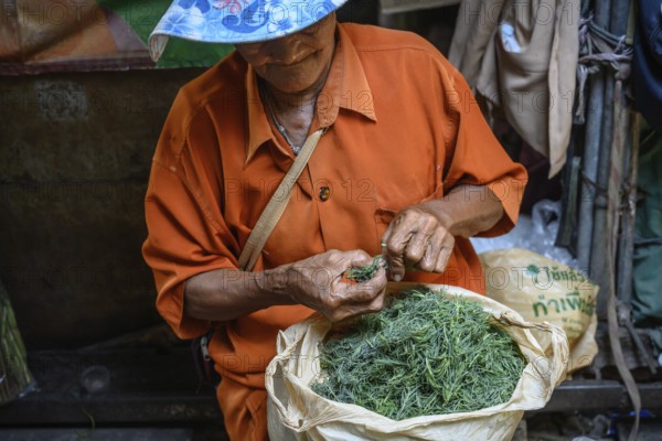 Mae Klong, Thailand. March 15th 2025. An elderly Thai woman sorts through a bag of herbs at the