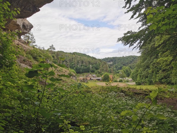 View through dense vegetation of a landscape with meadow, forest and buildings, hiking in the