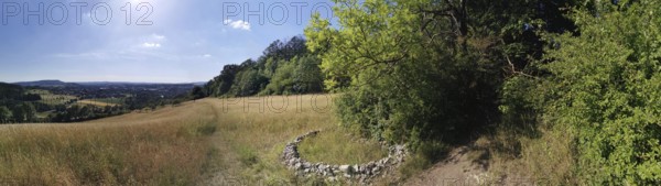 Wide landscape with fields and forest under clear, sunny skies, hiking in the Franconian Forest
