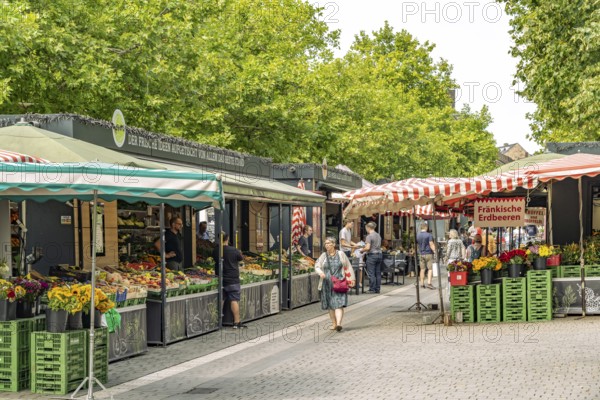 On the market in Fürth, Middle Franconia, Bavaria, Germany