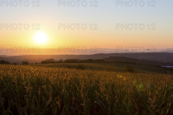 Colour-intensive sunrise towards Saxon Switzerland seen from round, Bannewitz, Saxony, Germany