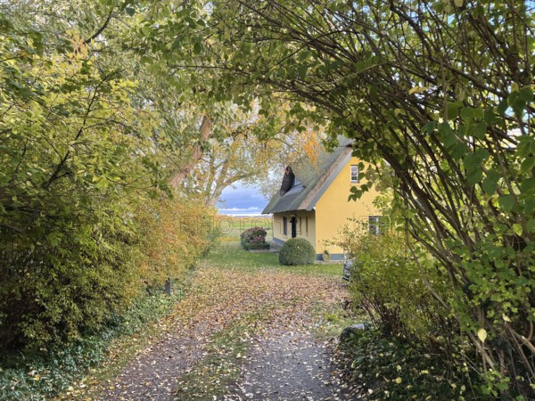 Künstlerdorf and Baltic resort Ahrenshoop, architecture, tradition, houses with thatched roofs,