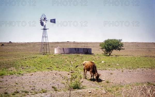 Water trough fed by a functioning windmill on a farm in a dry, rural landscape, likely in the Karoo