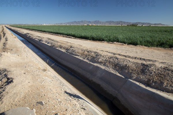 Buckeye, Arizona - A ditch carries irrigation water to crops growing on a farm in the Arizona