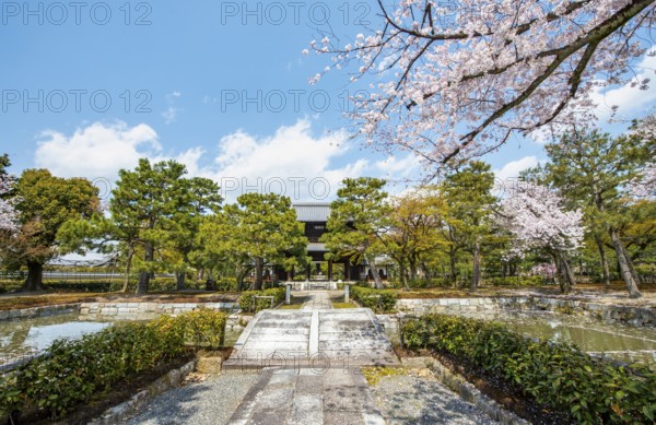 Sammon or Bogetsuro Gate with cherry blossoms, entrance to Kennin-ji Zen Buddhist Temple,