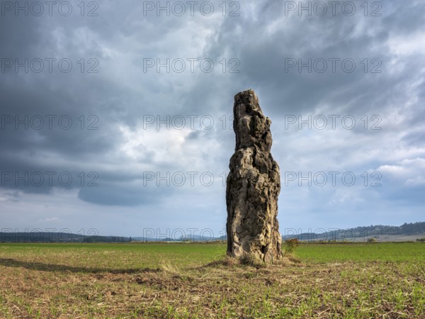The menhir of Benzingerode, with a height of 3.85 m the largest prehistoric menhir in northern