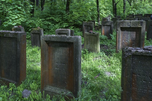 Lezajsk Jewish Cemetery, Poland