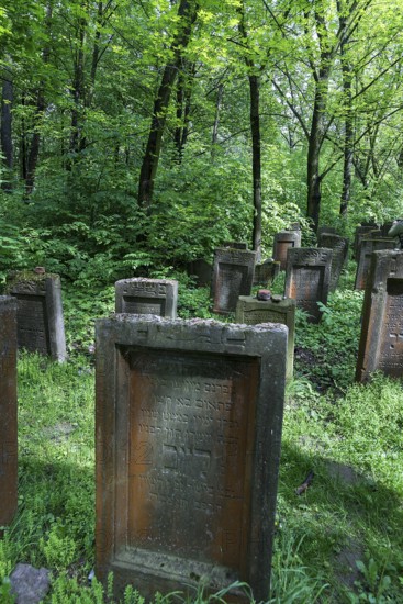 Lezajsk Jewish Cemetery, Poland