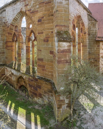 Gnadenberg Abbey, former monastery of the Birgitten Order, Gothic tracery windows on the ruins of