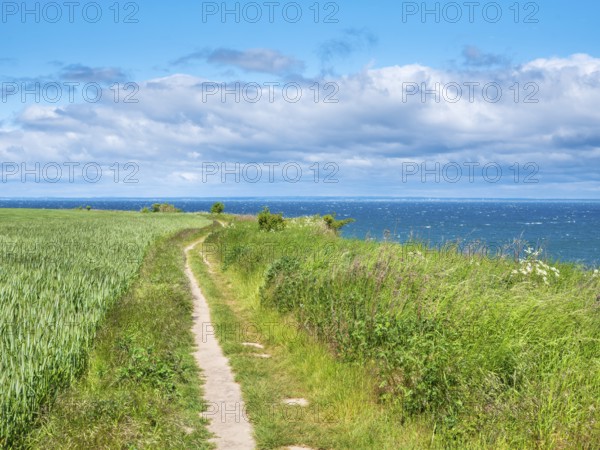 Hiking trail on the stormy Baltic Sea with foam crowns, Boltenhagen, Mecklenburg-Western Pomerania,