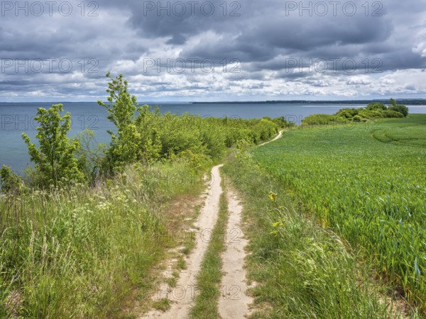 Hiking trail on the high shore of the Baltic Sea on the cliffs of Boltenhagen, Mecklenburg-Western