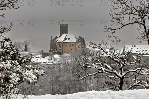 Snowy castle with bare trees in the foreground, wintry atmosphere, The Wartburg near Eisenach in