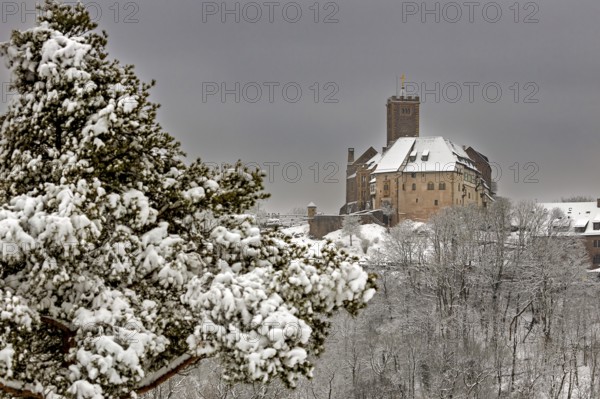 Snowy castle in winter landscape surrounded by snow-covered trees under grey sky, The Wartburg near