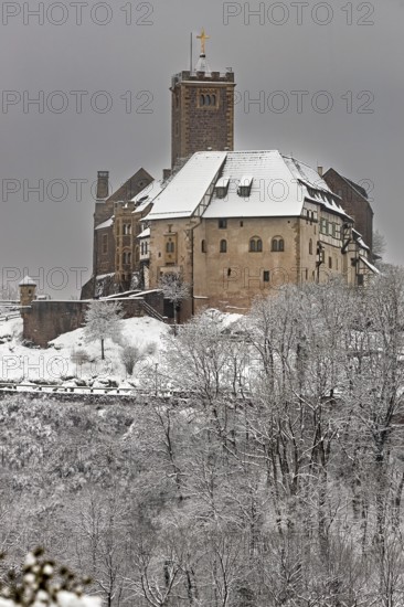 Close-up of a castle in winter, snow-covered trees in the foreground, The Wartburg near Eisenach in