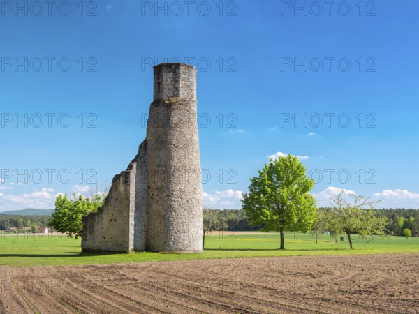 The ruins of the Circle Chapel, also Circle Chapel, church ruins near Dentlein am Forst, Middle