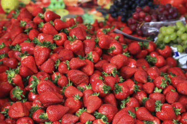 Ripe strawberries at the weekly market market in the old town of Sibiu, Sibiu, in Transylvania,