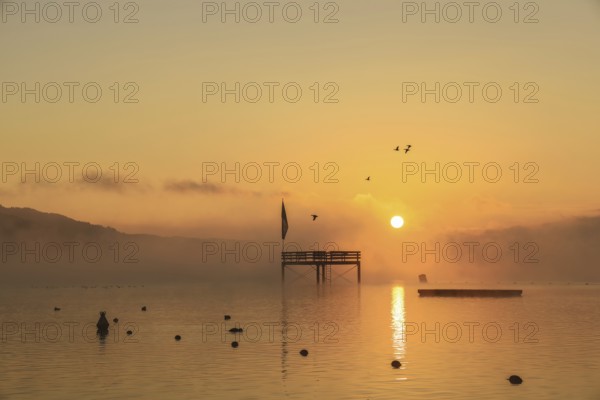 Überlinger See at sunrise with a jetty and flying birds in fog, Lake Constance,