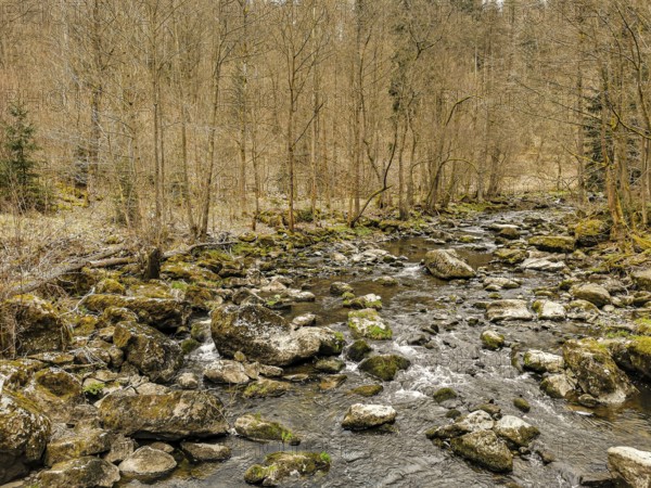 A small river, Selbitz flows through an autumn forest over stones and moss, Höllental, Frankenwald