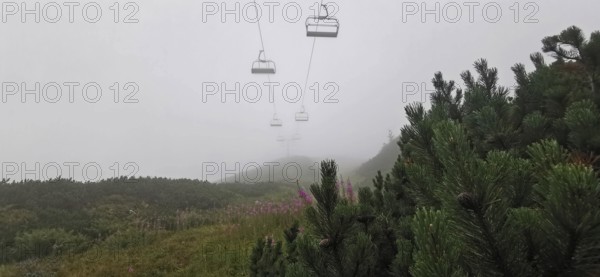 Misty mountain landscape with cable car and pine trees (pinus), Zakopane, hike to Kasprowy Wierch