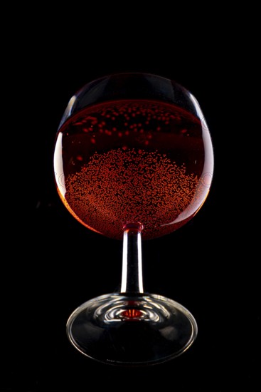 A wine glass filled with sparkling red wine against a black background