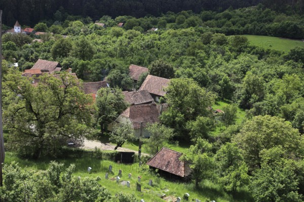 Romania, view from the fortified church of the fortified church and houses of Viscri, German