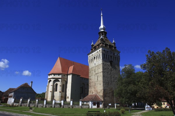 Romania, the church tower and church of Saschiz, German Keisd, a community in Mures County,