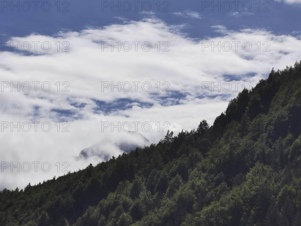 Dense forest, partly covered by foggy clouds, with a view of the blue sky, Peaks of the Balkans,