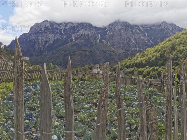 Small vegetable garden surrounded by fences, with mountain views and thick clouds, Peaks of the